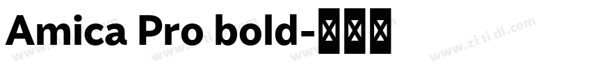 Amica Pro bold字体转换